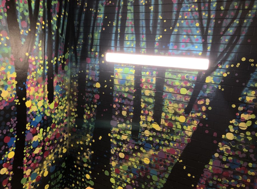 Benjamin Werner for Brisbane Street Art Festival 2020 (BSAF 2020)