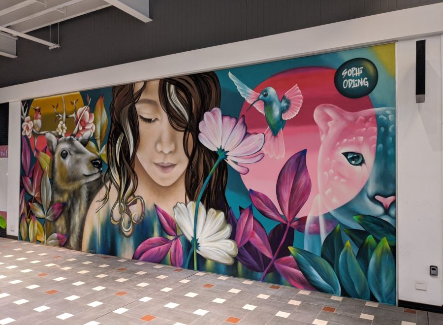 Sophi Odling for Brisbane Street Art Festival 2020 (BSAF 2020)