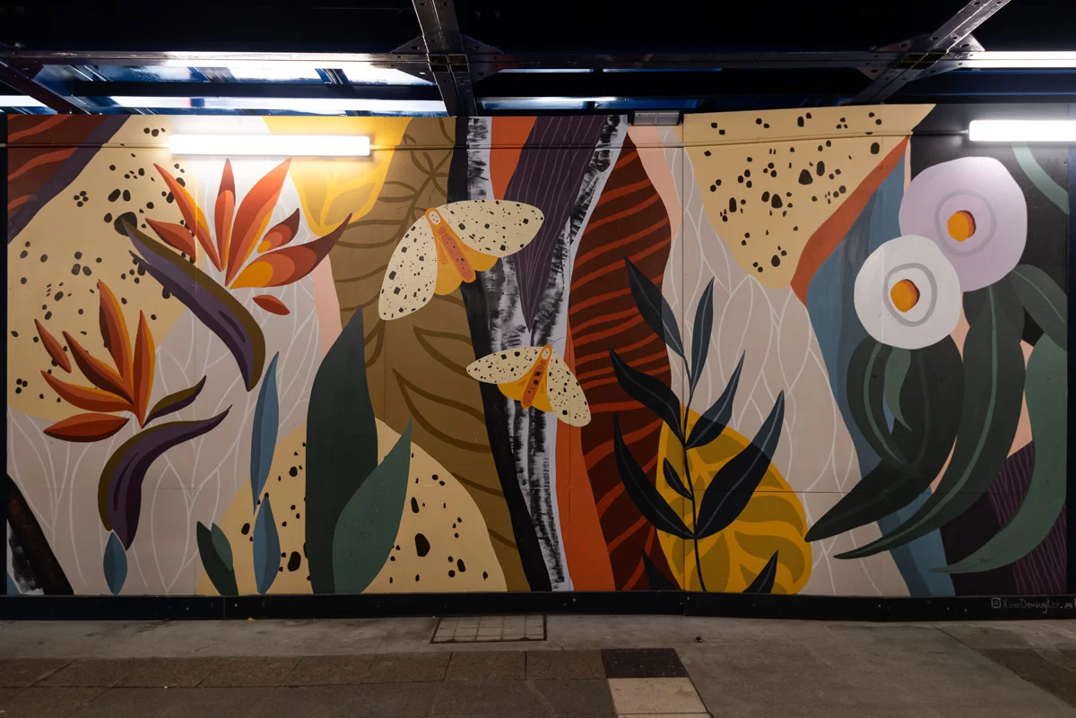 Xana Denruyter for Brisbane Street Art Festival 2020 (BSAF 2020)