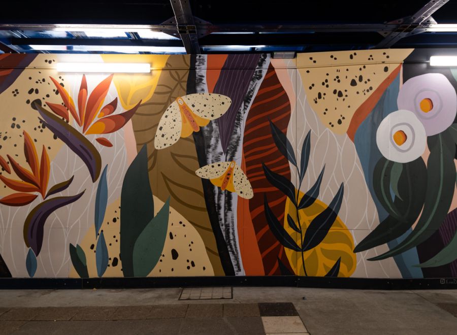 Xana Denruyter for Brisbane Street Art Festival 2020 (BSAF 2020)